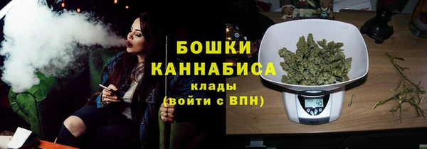 Альфа ПВП Гусиноозёрск