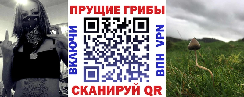 Галлюциногенные грибы мицелий  как найти   Вышний Волочёк 